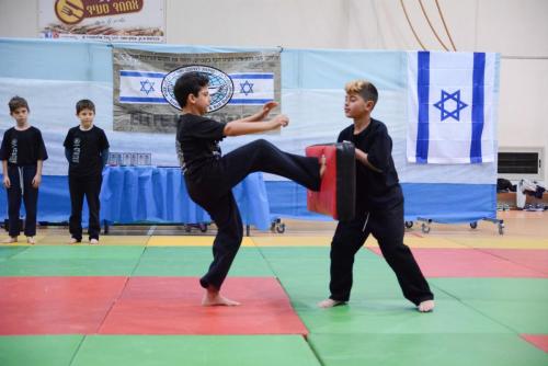 kravmaga (35)
