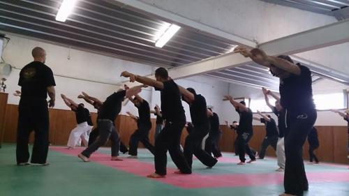 kravmaga (29)